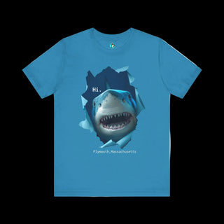 Plymouth Shock "It's me, Hi. I'm the problem it's me" Shark Tee