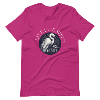 Plymouth Shock "Life Life with No Egrets" Unisex t-shirt